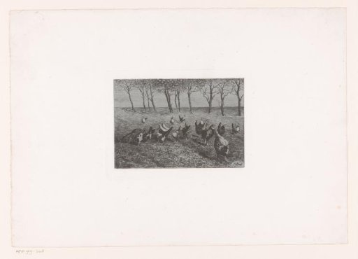 Meadow with chickens
