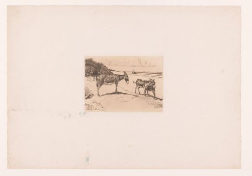 Four donkeys on the beach