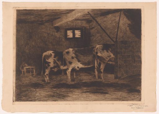 Three cows in a stable, seen from behind