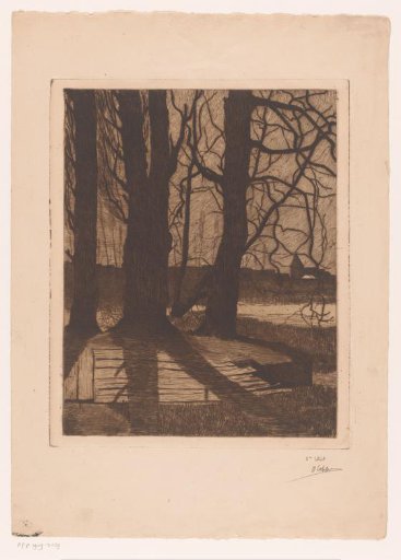 Landscape with four trees in the evening