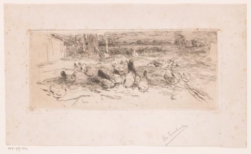 Chickens in the Grass Along a Road