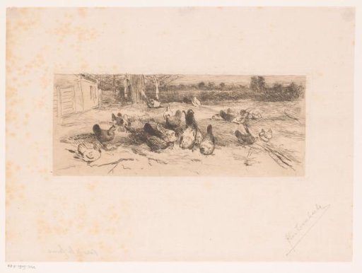 Chickens in the Grass Along a Road