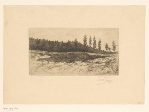 Heath Landscape near Ukkel