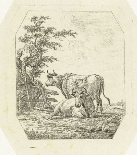 Two cows by a fence
