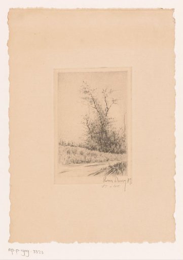 Landscape with a wood at the water's edge