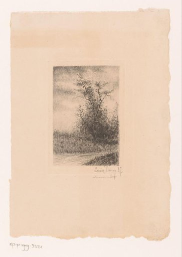 Landscape with a tree by the water