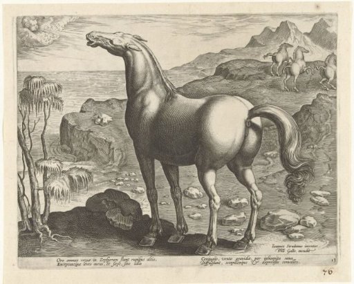 Zephyr impregnating a mare