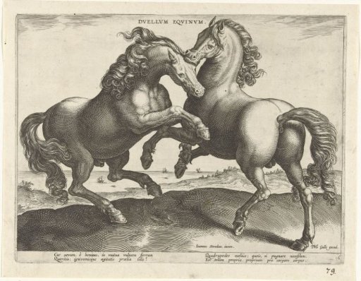 Fighting horses