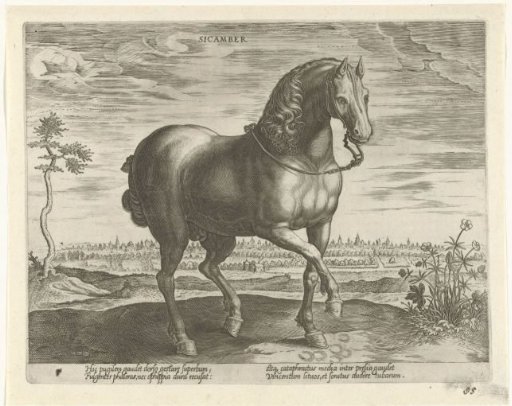 Horse from Guelders