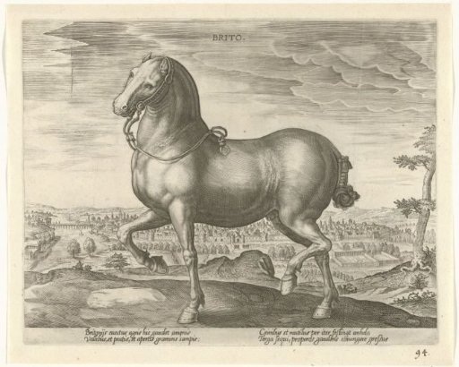 Horse from England
