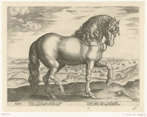 Horse from Friesland