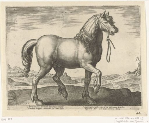 Horse from Gulik (Juliacus)