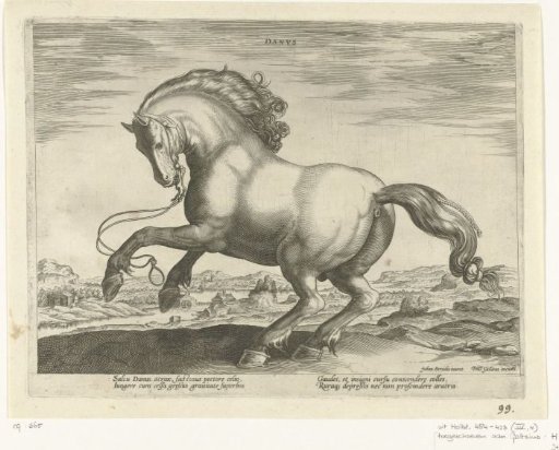 Horse from Denmark (Danus)