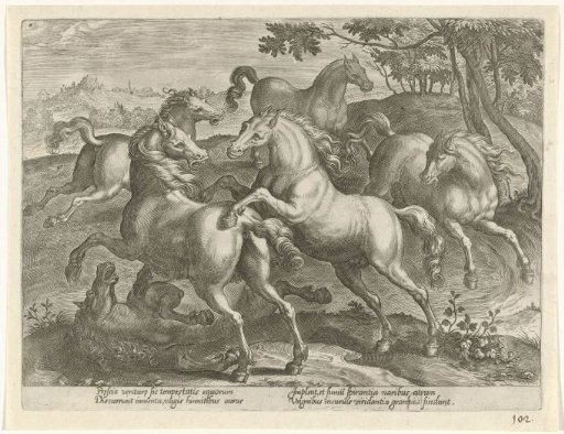 Six Fighting Horses