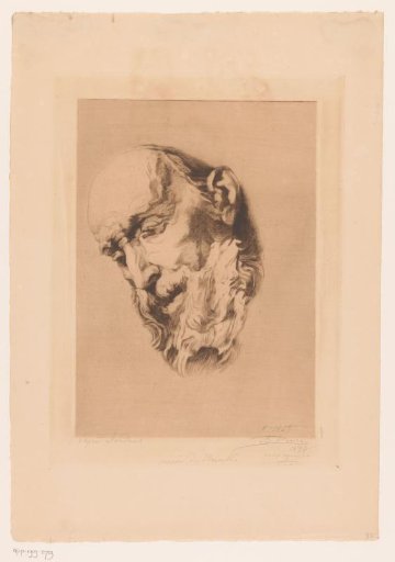 Head of a bearded old man looking down