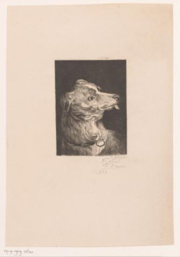 Head of a dog with its tongue out
