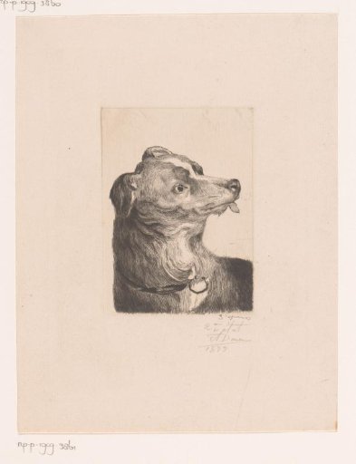 Head of a dog with its tongue out