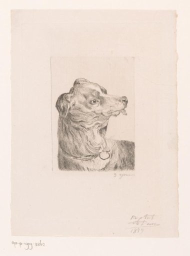 Head of a dog with its tongue out