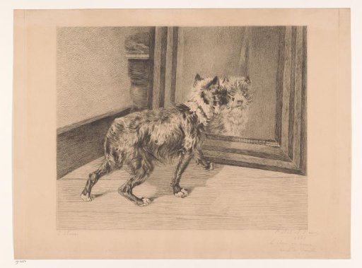 Dog Before a Mirror