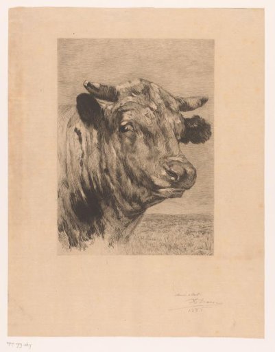 Head of a Bull