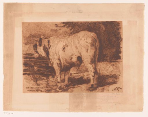 Bull in the Meadow
