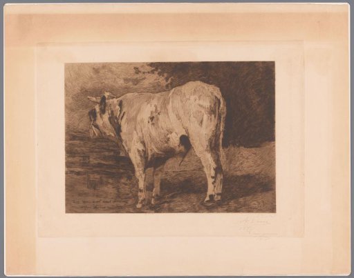Bull in the Meadow