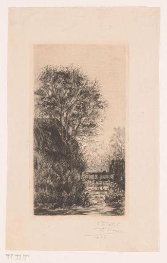 Buildings and vegetation along a ditch