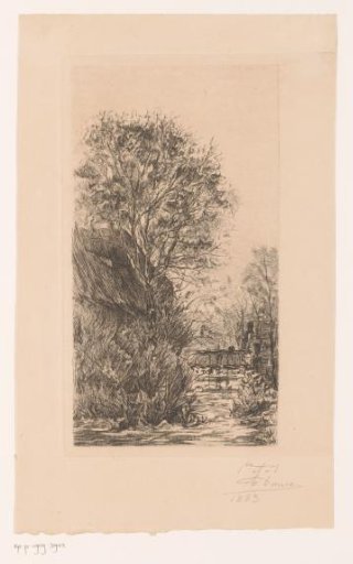Buildings and vegetation along a ditch