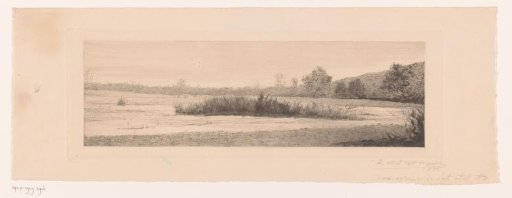 Landscape with a reed bed in a lake