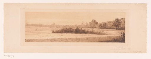 Landscape with a reed bed in a lake