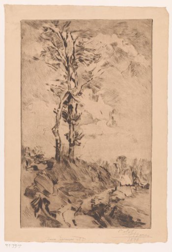 Winter landscape with two bare trees