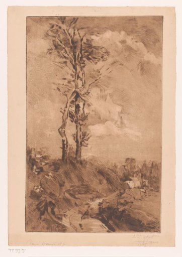 Winter landscape with two bare trees