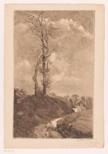 Winter landscape with two bare trees