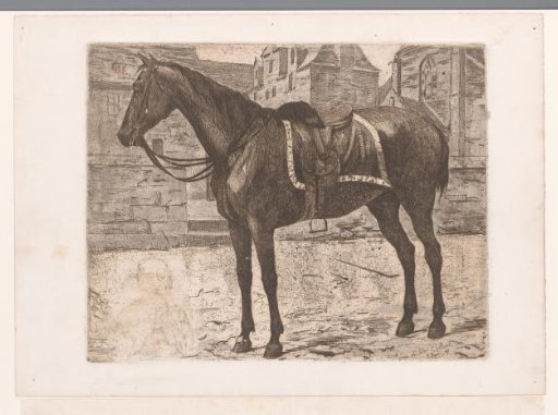 Saddled Horse with Buildings in the Background