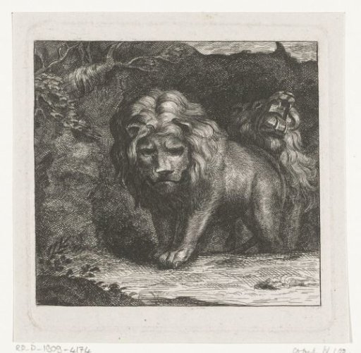 Two lions at the entrance to their den