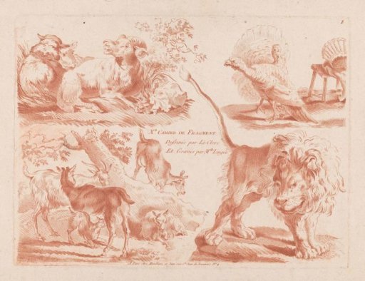 Sheep, turkeys, goats, and lion