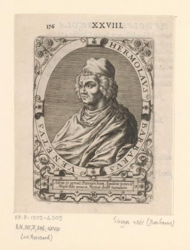 Portrait of Ermolao Barbaro
