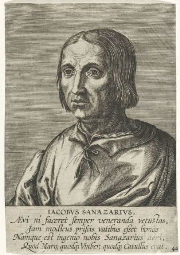 Portrait of Jacopo Sannazaro
