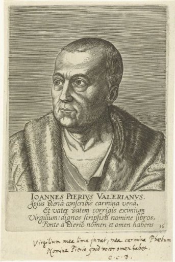 Portrait of Gaimpietro Valeriano