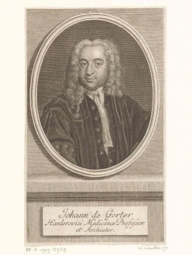 Portrait of Johannes de Gorter