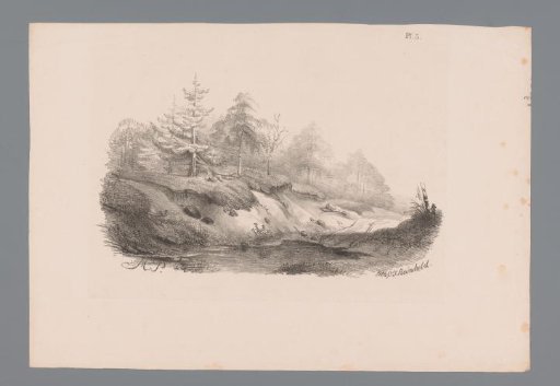 Landscape with a Pond