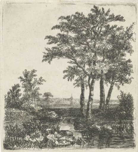 Four trees by a ditch