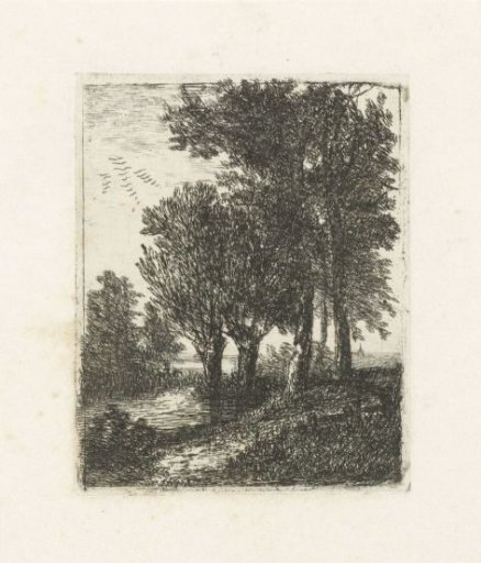 Five trees by the water