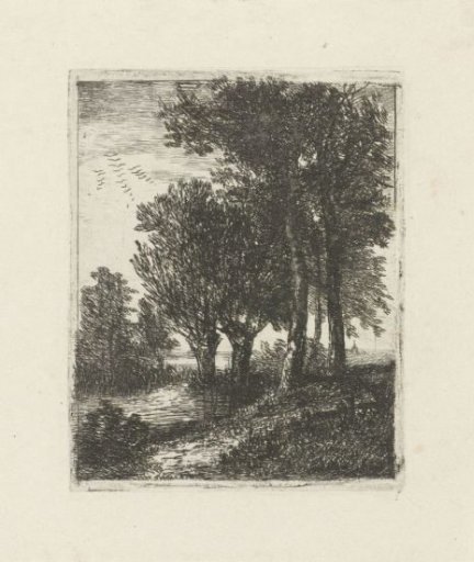 Five trees by the water