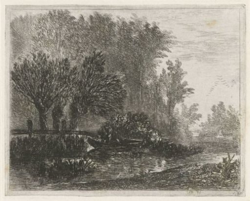 Fisherman in a boat at the edge of the woods