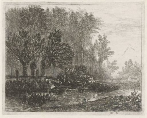 Fisherman in a boat at the edge of the woods