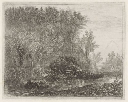 Fisherman in a boat at the edge of the woods