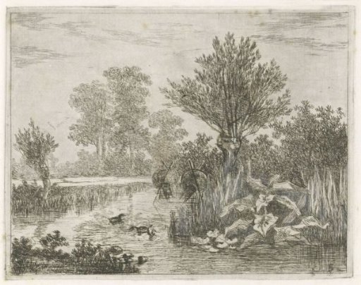 Ducks in a ditch