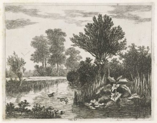 Ducks in a ditch