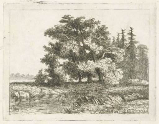 Three Trees by the Water